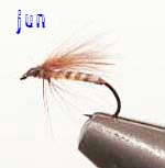 jun fly3