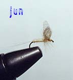 fly7