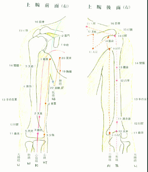 jyouwan-1.jpg