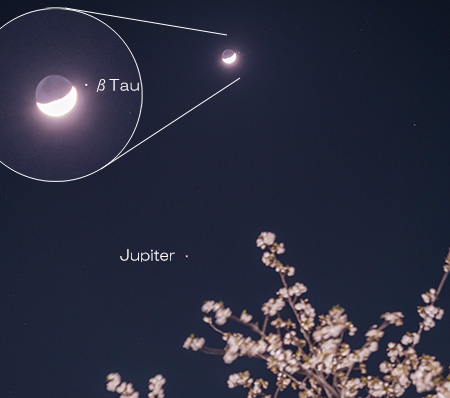 MOON_JUPITER_BETATAU_250403.JPG - 64,435BYTES